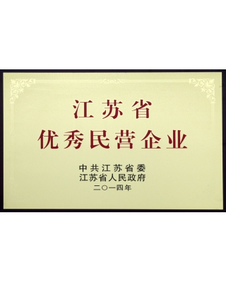 江蘇省優(yōu)秀民營企業(yè)